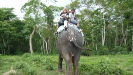 Balade Eléphant Chitwan, Népal